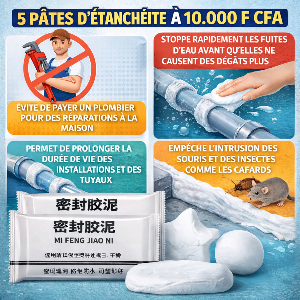 pate d'étanchéité (5 pates à 10.000 FCFA)
