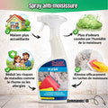 Spray Anti-moisissure