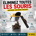 Système de Capture de Souris Sans Contact
